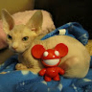 Meet your Posher, Mark